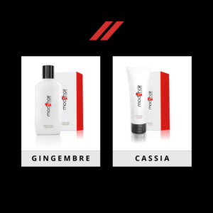 Unser Weihnachtspaket: Gingembre und Cassia